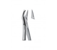 Extracting Forceps